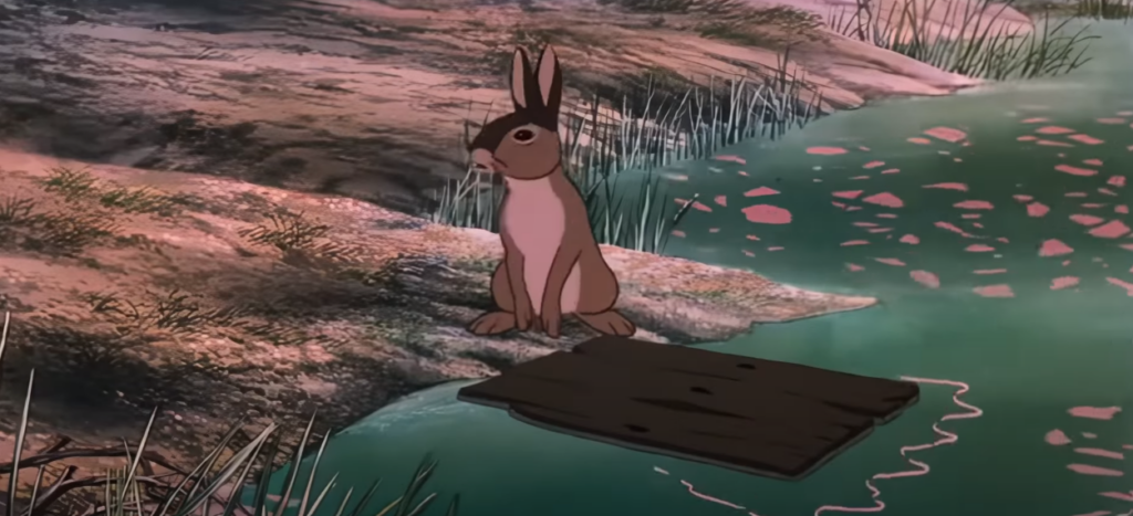 Rabbit by the lake